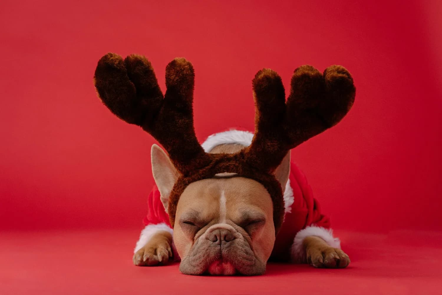 When the holidays hurt
